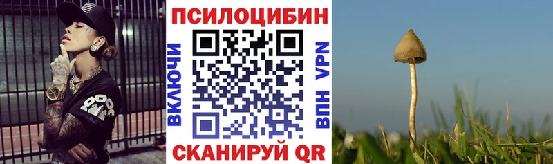 OMG ONION  Кириллов  Галлюциногенные грибы Psilocybine cubensis  продажа наркотиков 